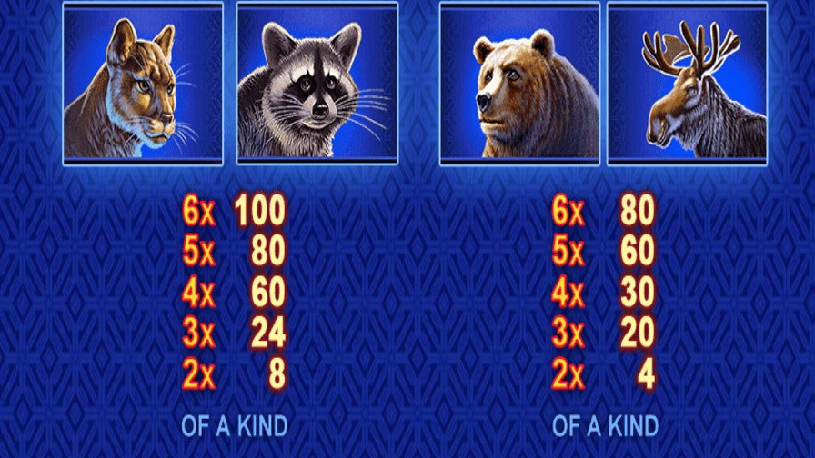 Buffalo Blitz Megaways Feature Symbols En - bwin-belgium-fr