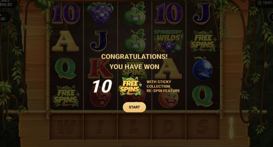 Spinberry Wilds Bonus - bwin-belgium-fr