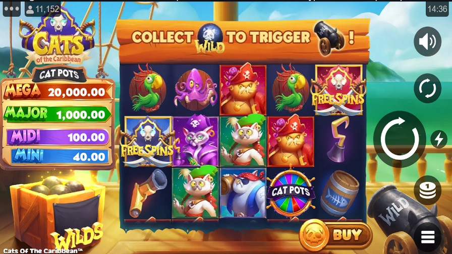 Cats Of The Caribbean Slot En - bwin-belgium-fr
