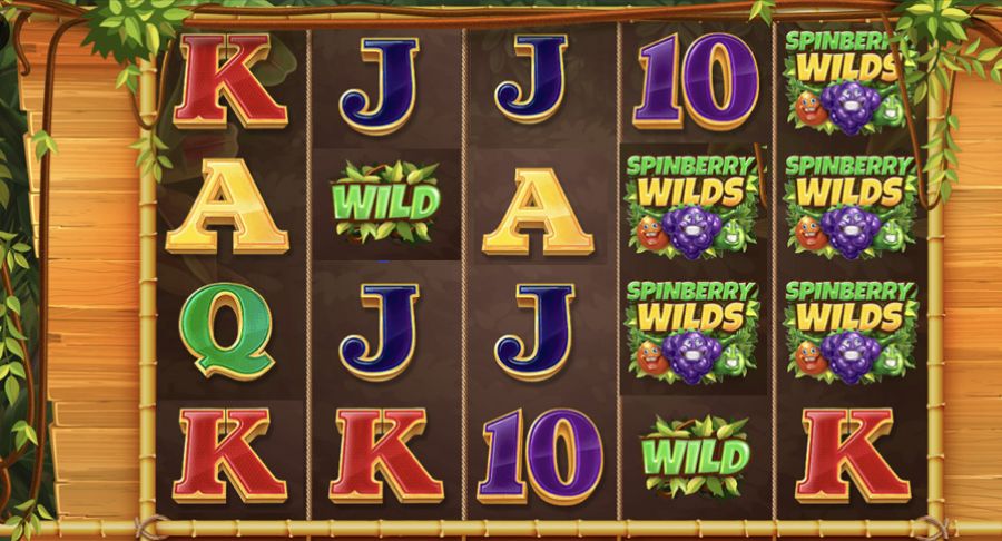 Spinberry Wilds Slot - bwin-belgium-fr