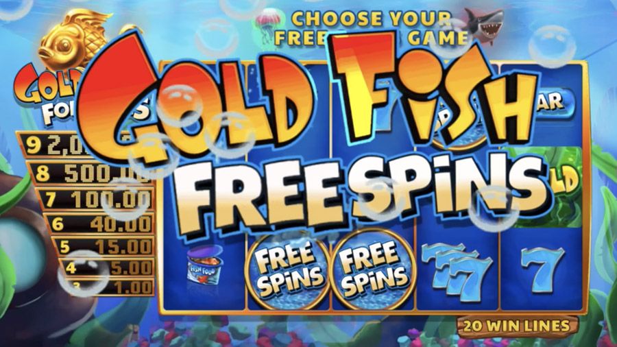 Goldfish Fortunes Bonus - bwin-belgium-fr