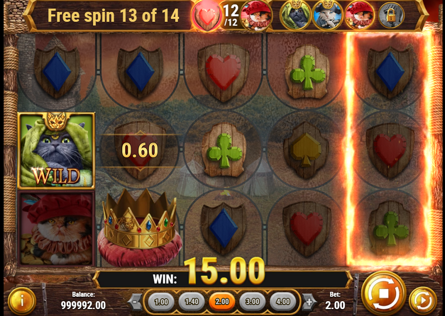 Feline Fury Bonus - bwin-belgium-nl