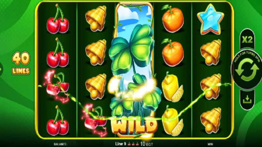 40 Bulky Fruits Bonus En - bwin-belgium-nl