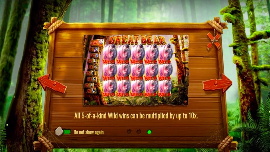 Great Bear Featured Symbols - bwin-belgium-nl